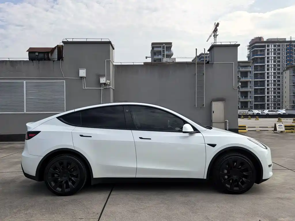 Tesla Model Y — миниатюра 5