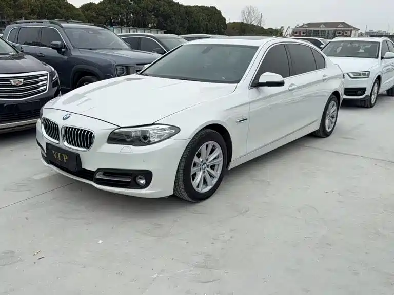 BMW 5 Series — миниатюра 5