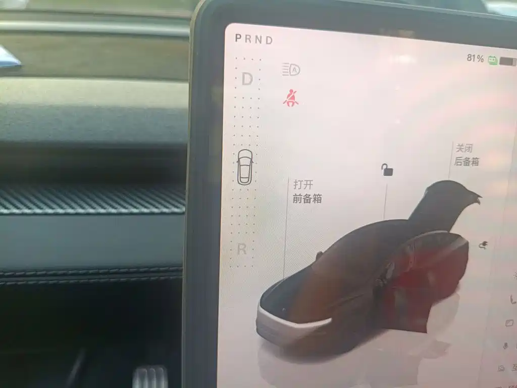 Tesla Model Y — миниатюра 15