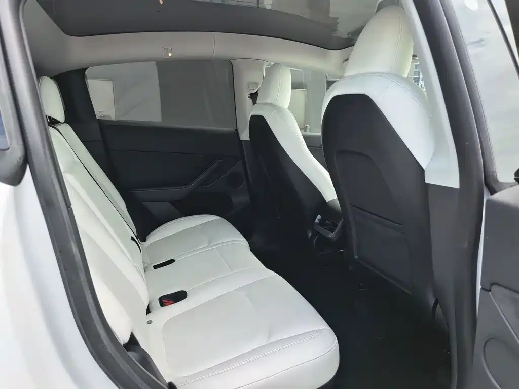 Tesla Model Y — миниатюра 10
