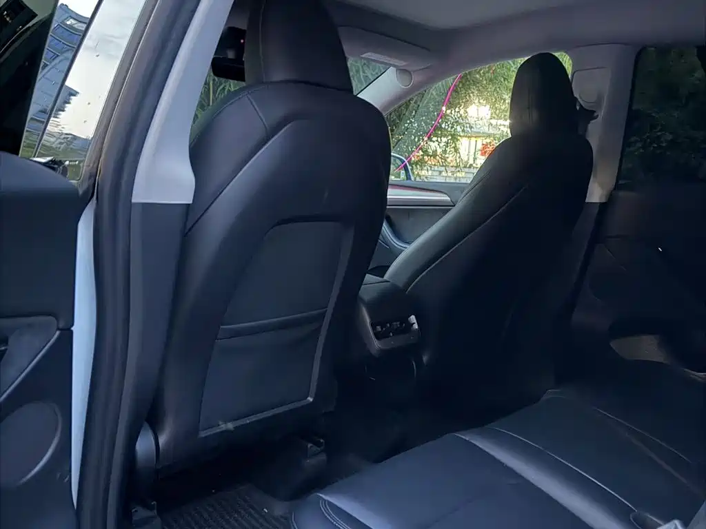Tesla Model Y — миниатюра 4