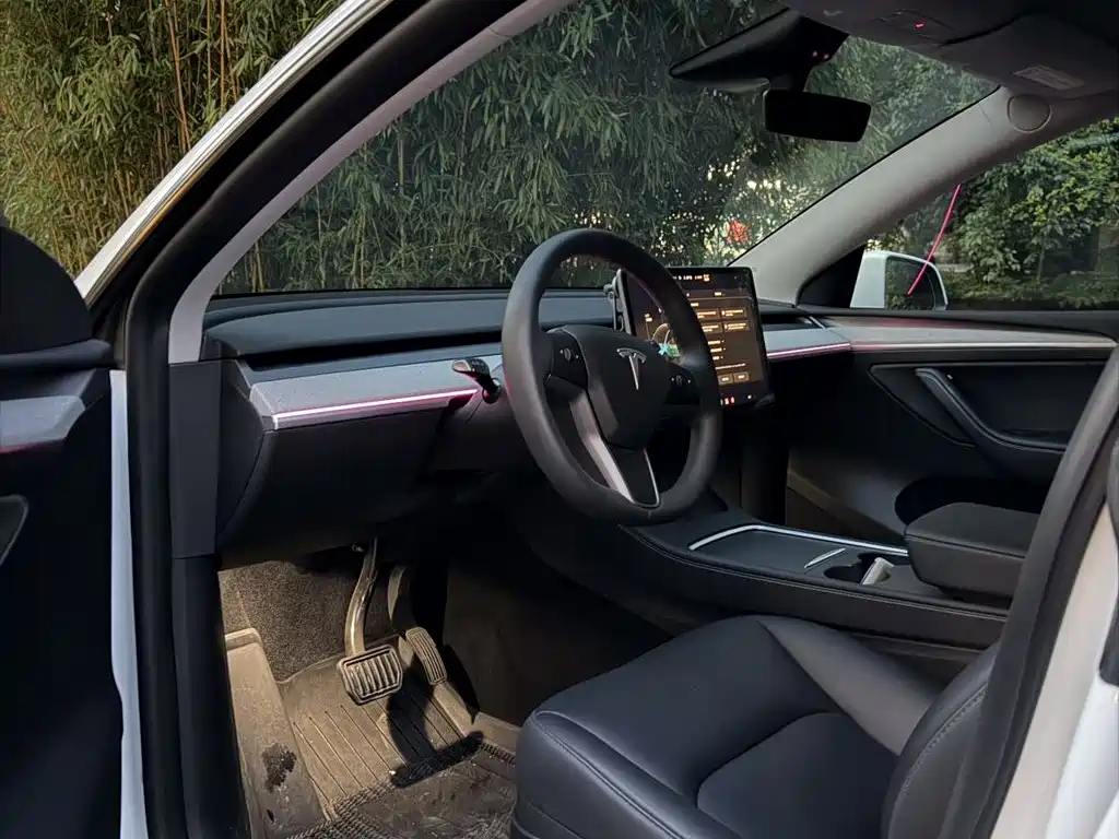 Tesla Model Y — миниатюра 5