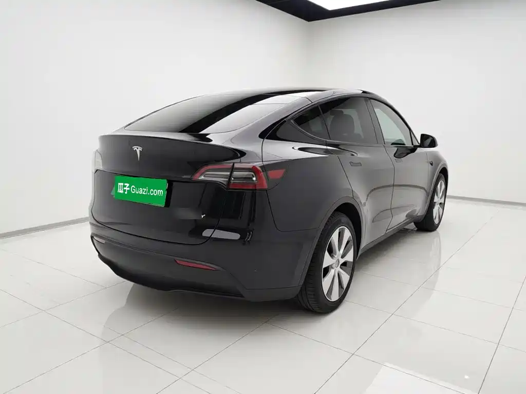 Tesla Model Y — миниатюра 6