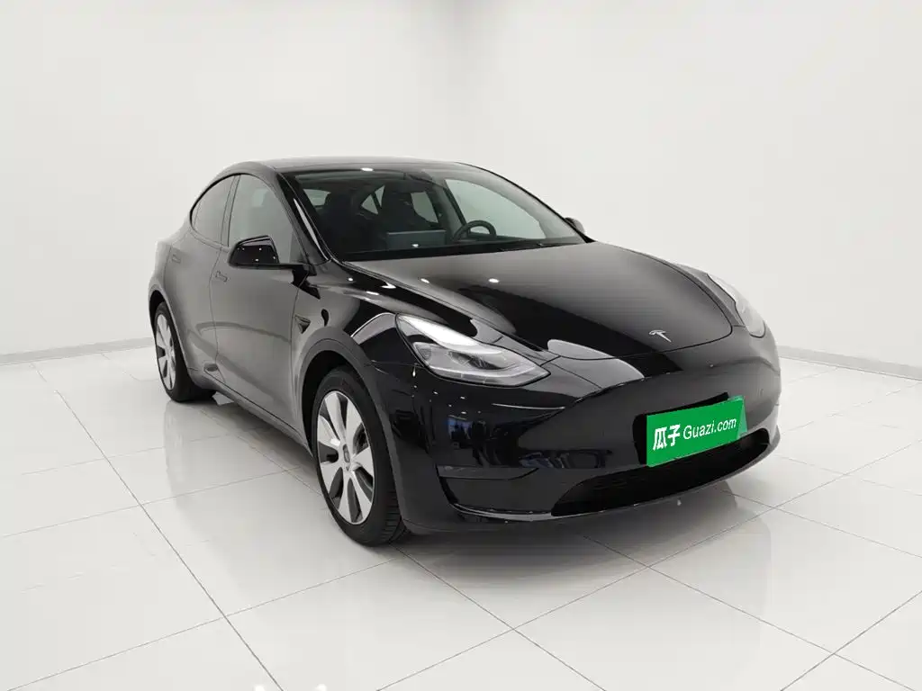 Tesla Model Y — миниатюра 3