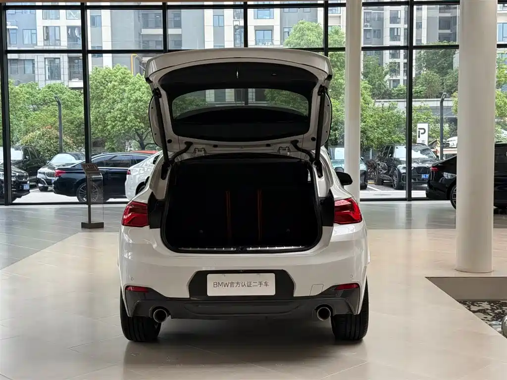 BMW X2 2020 sDrive25i Lead M Sport