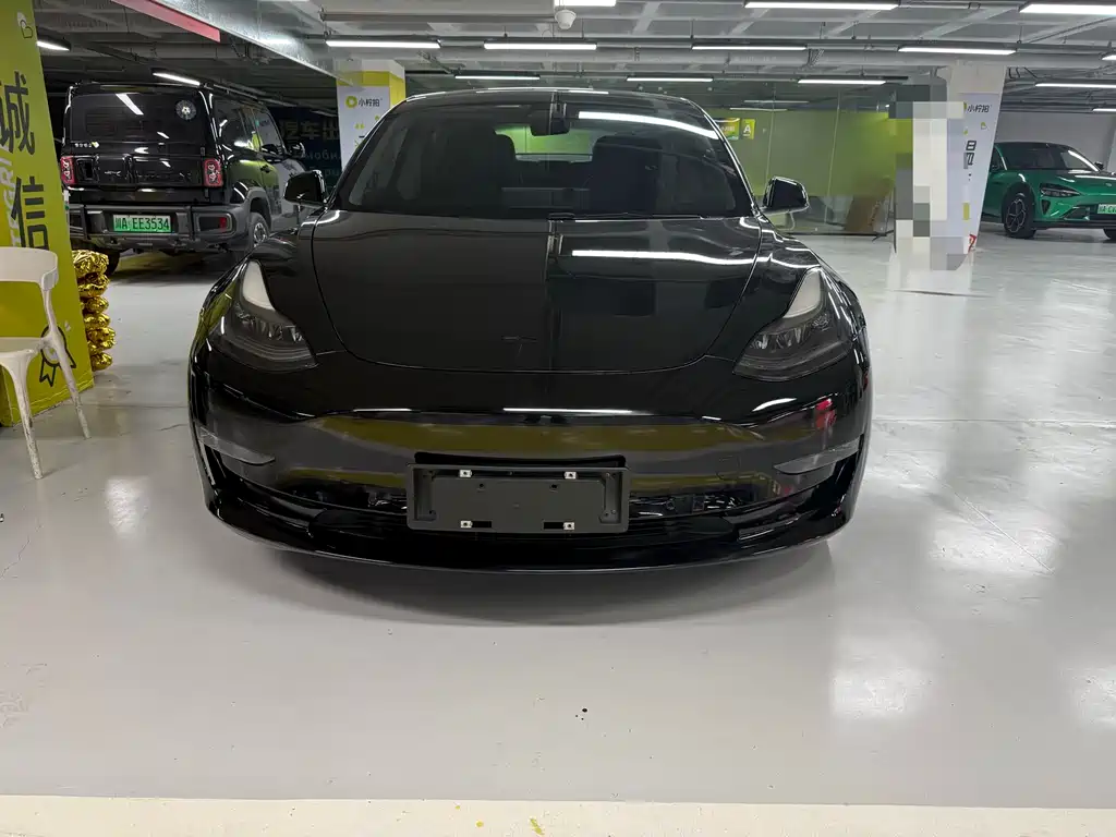 Tesla Model 3 2021 Performance
