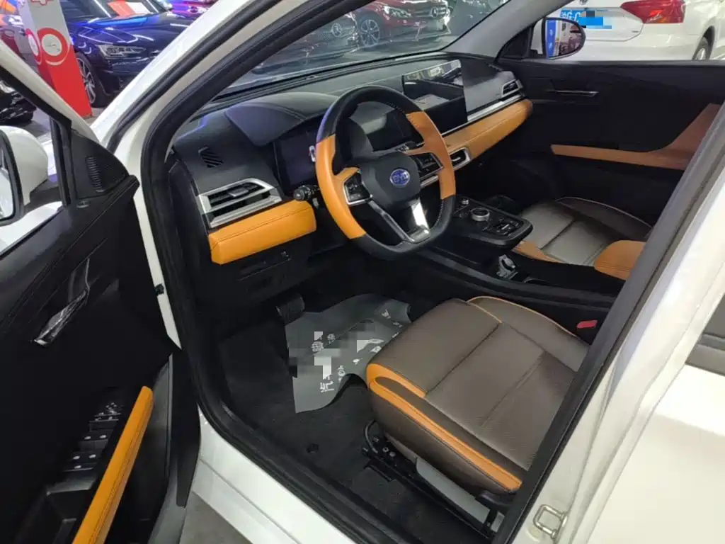 BYD e2 — миниатюра 16