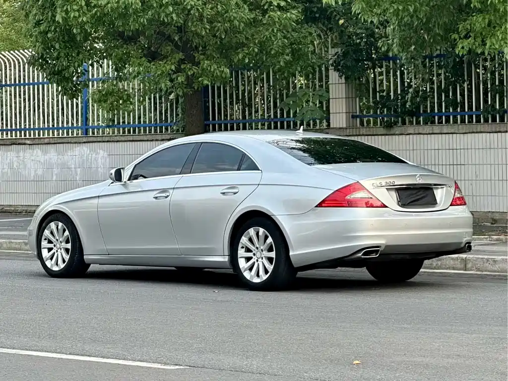 Mercedes-Benz CLS 2009 CLS 300
