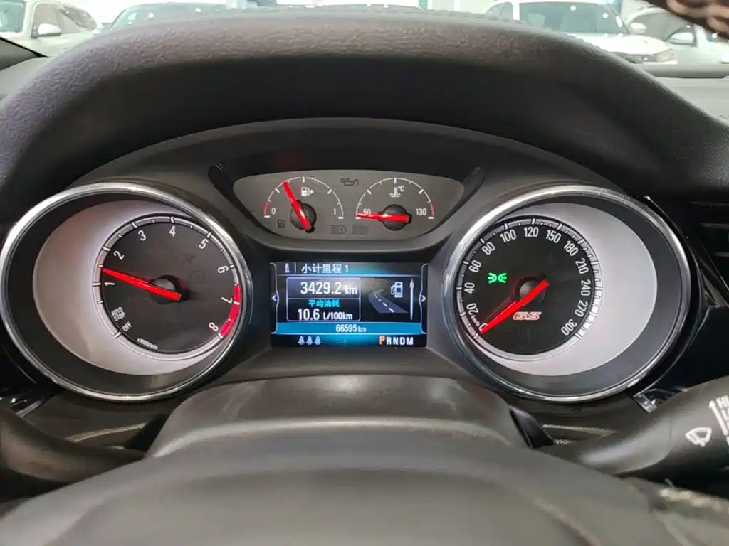 Buick Regal — миниатюра 12