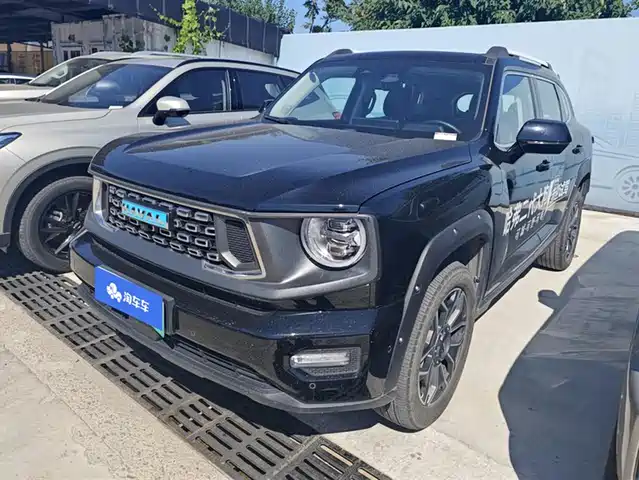 HAVAL  SECOND GENERATION BIG DOG NEW ENERGY 2024