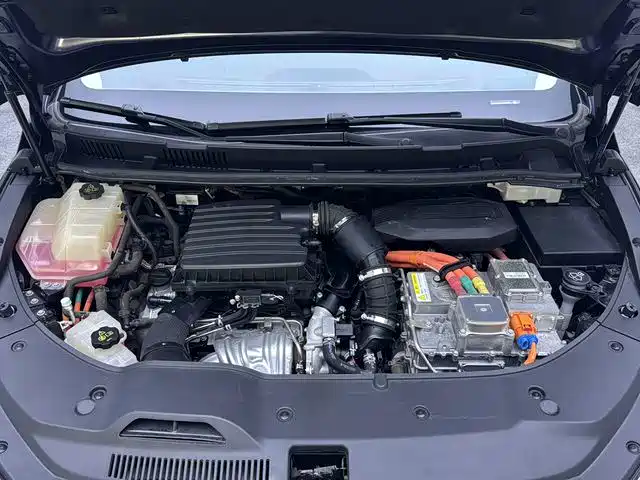 BYD MAX New Energy — миниатюра 17