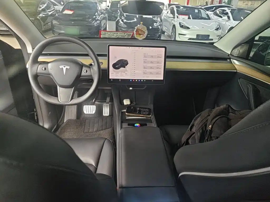 Tesla Model Y — миниатюра 10