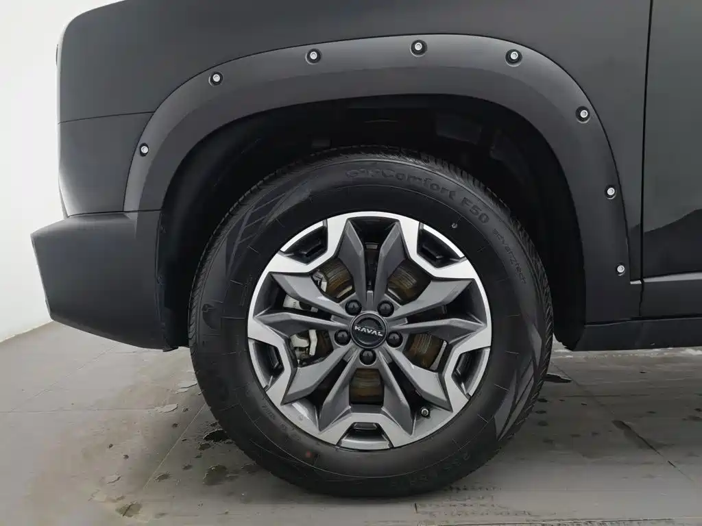 Haval Big Dog — миниатюра 17