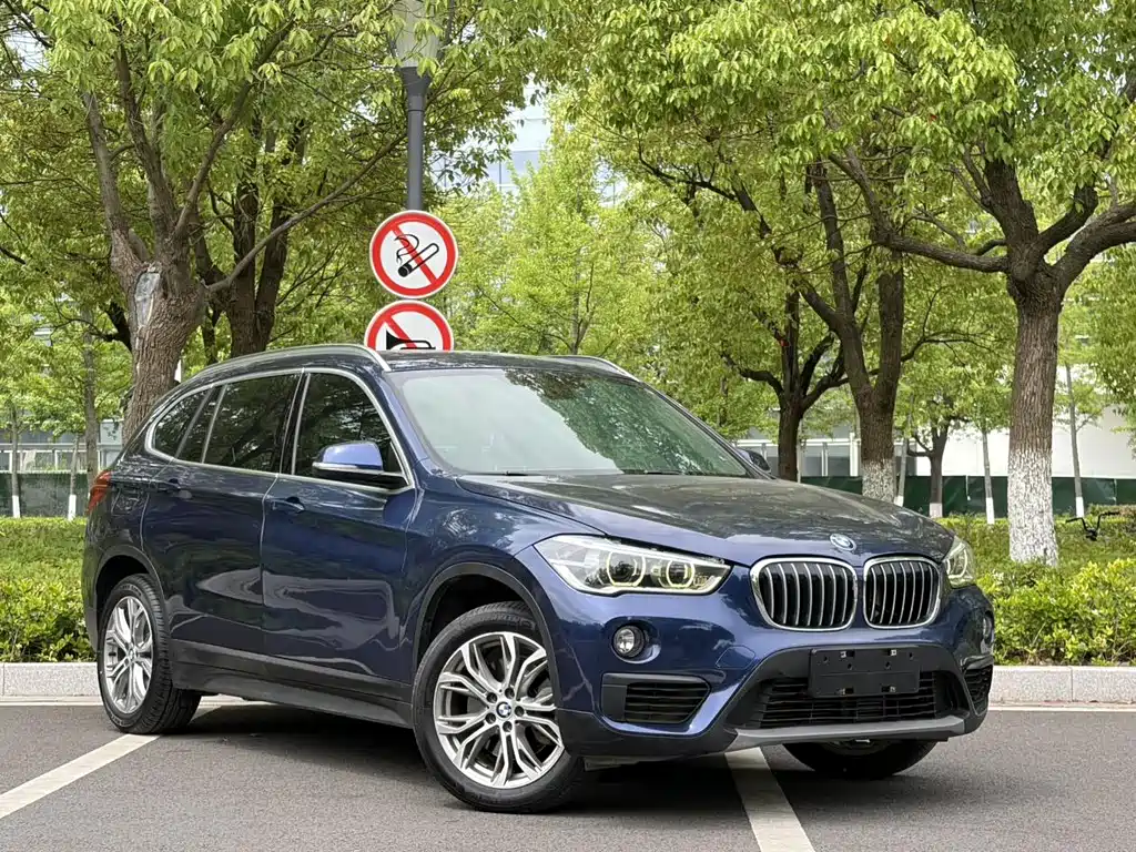 BMW X1 2019 sDrive20Li Lead