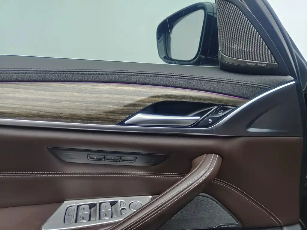 BMW 5 Series 5 2019 530Li Lead Luxury