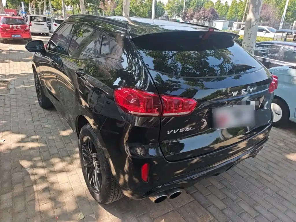 Wey Wey VV5 — миниатюра 5