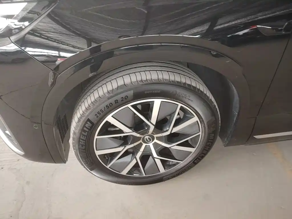GAC Motor Trumpchi Xiangwang S9 — миниатюра 23