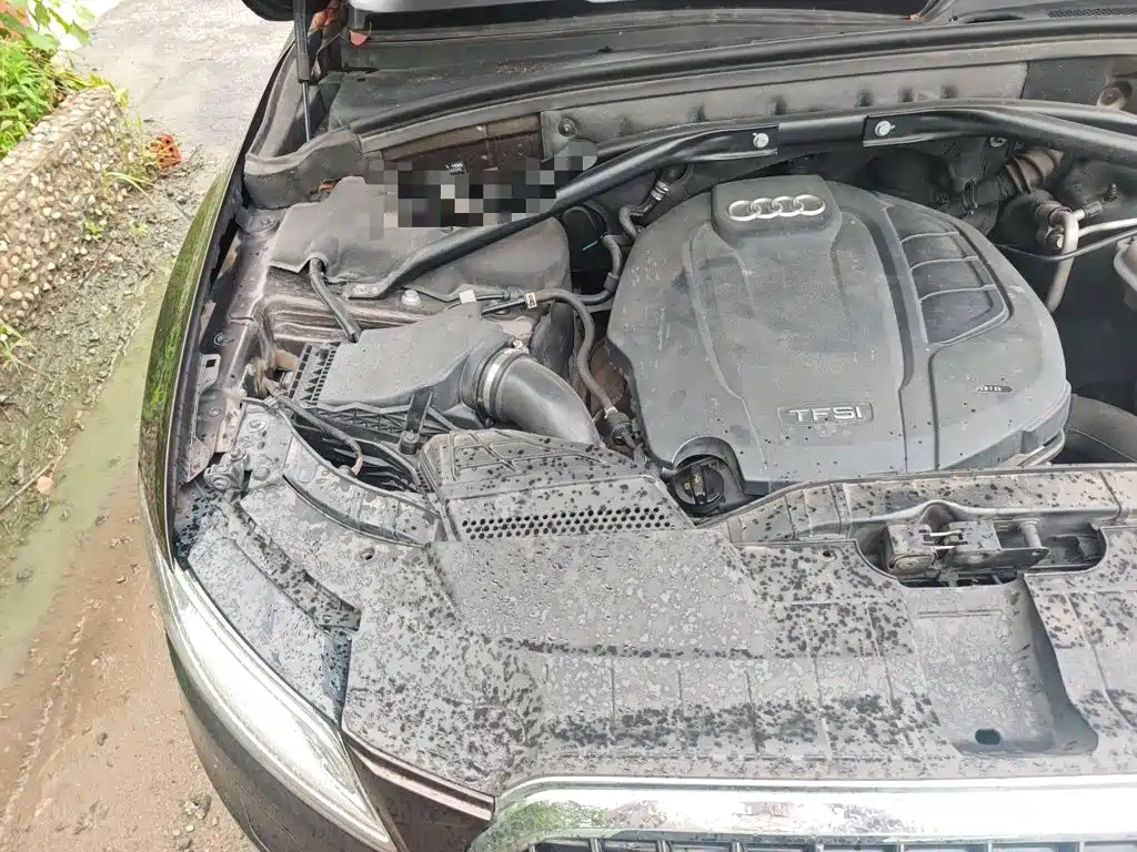 Audi Q5 — миниатюра 21