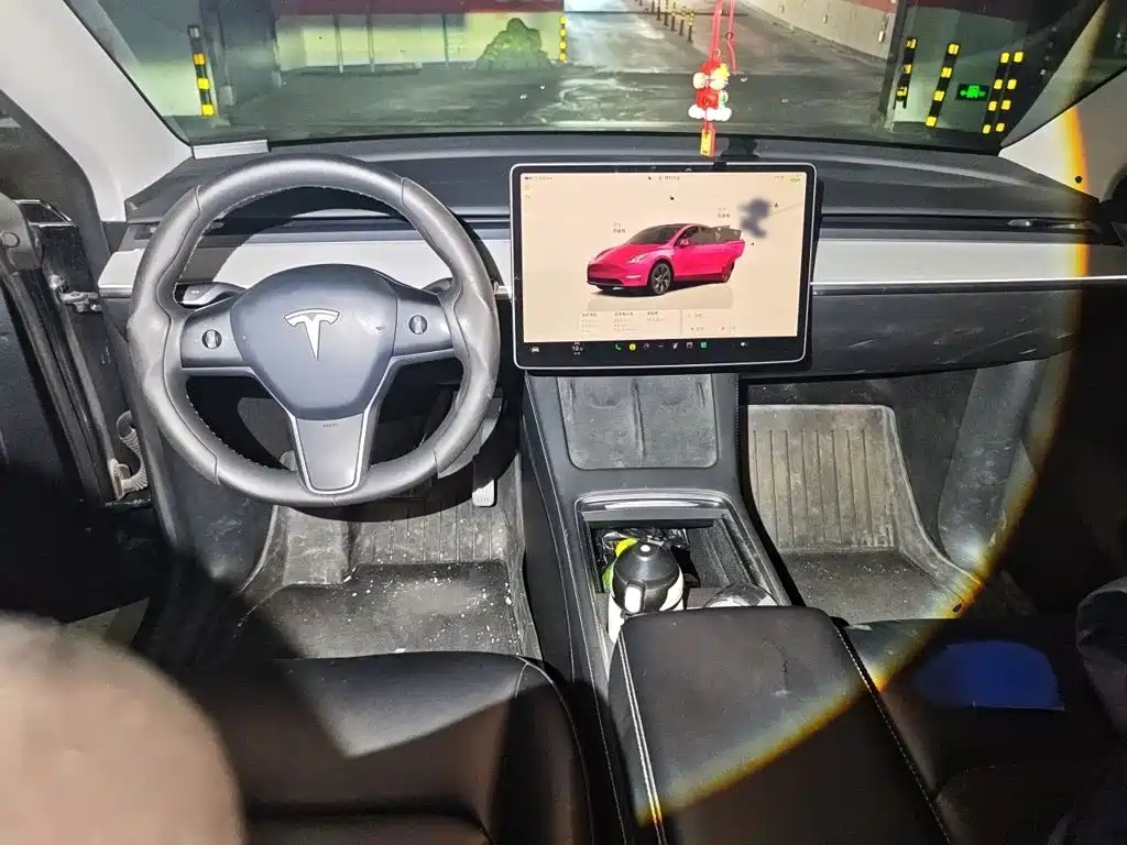 Tesla Model Y — миниатюра 13