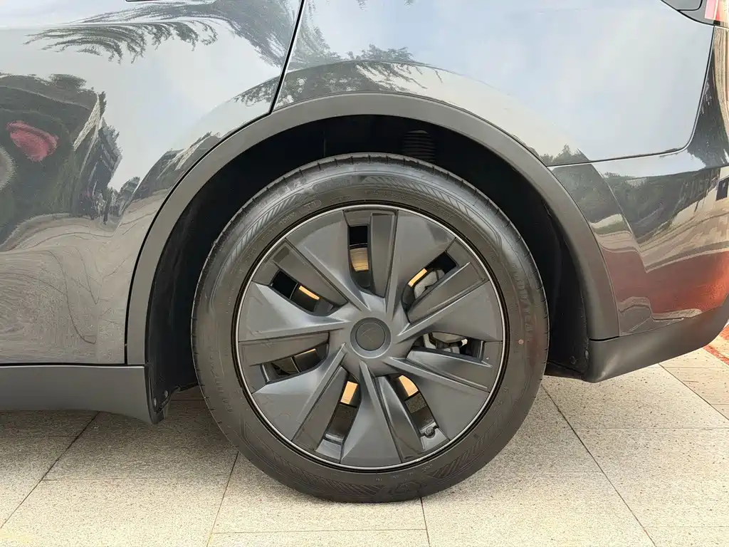 Tesla Model Y — миниатюра 11