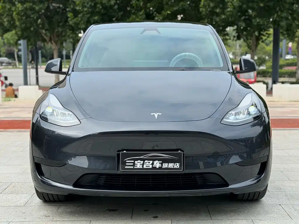 Tesla Model Y — миниатюра 2