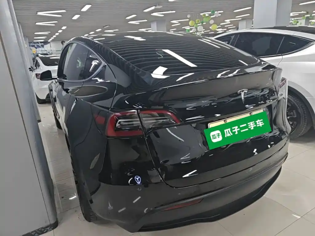 Tesla Model Y — миниатюра 5