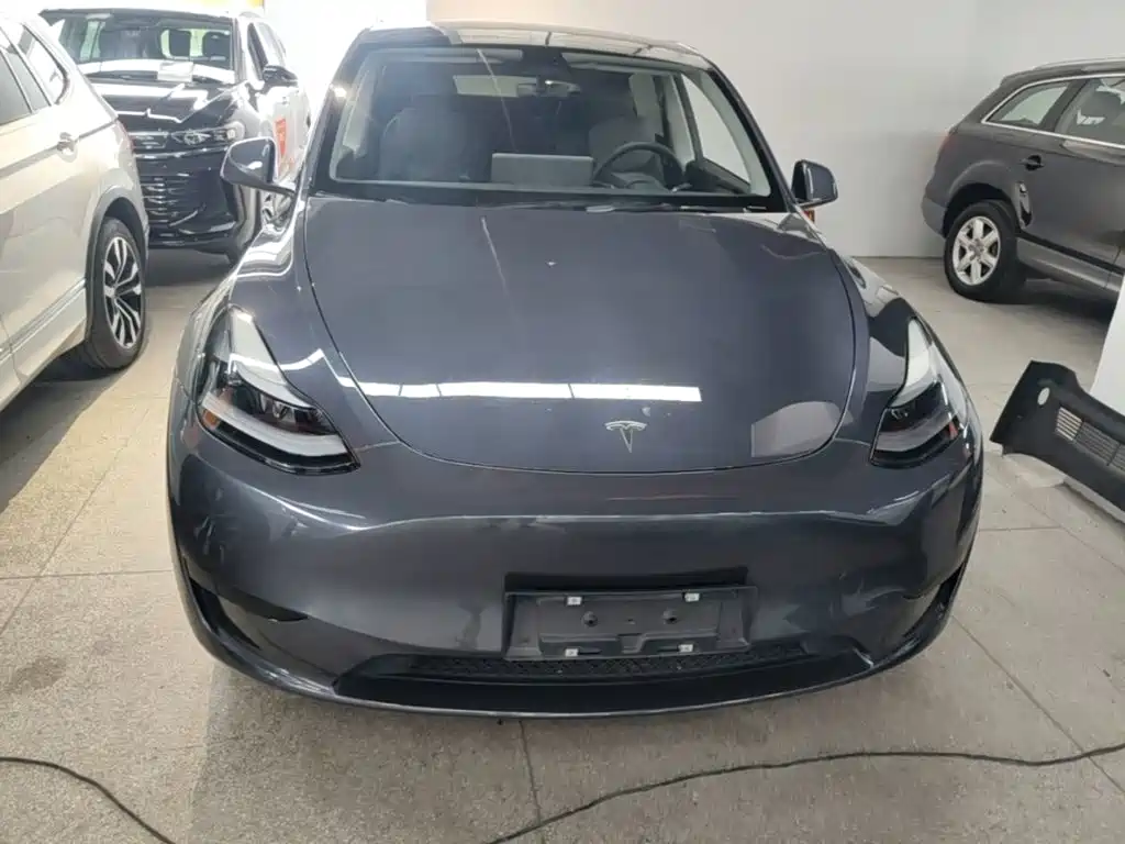 Tesla Model Y — миниатюра 3