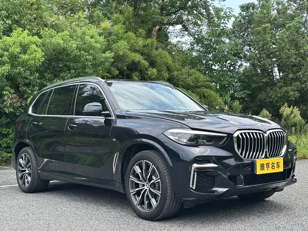 BMW X5 — миниатюра 3