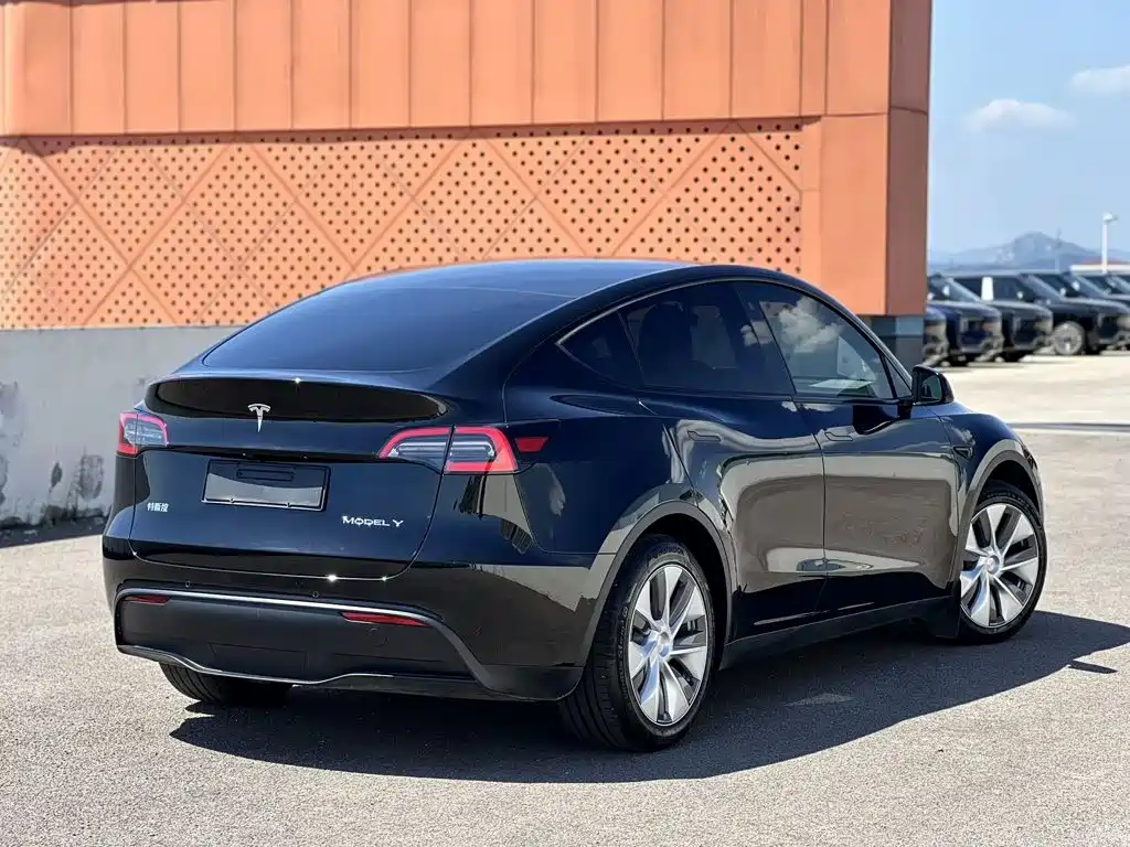 Tesla Model Y — миниатюра 3