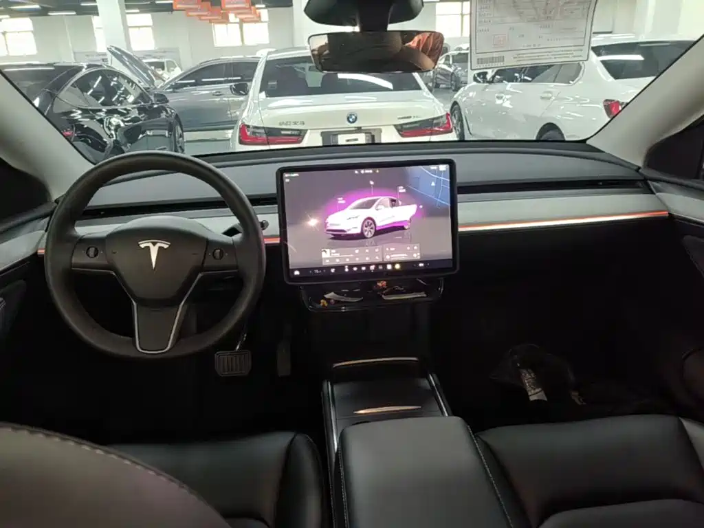 Tesla Model Y — миниатюра 10