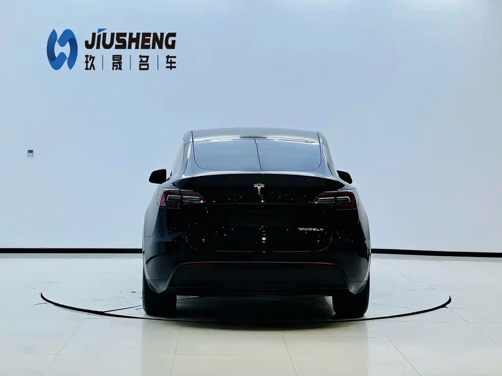 Tesla Model Y — миниатюра 5