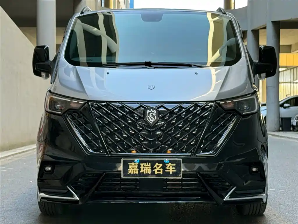 Ford Tourneo 2024 2.0T AT Plus