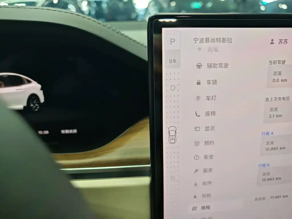Tesla Model X — миниатюра 10
