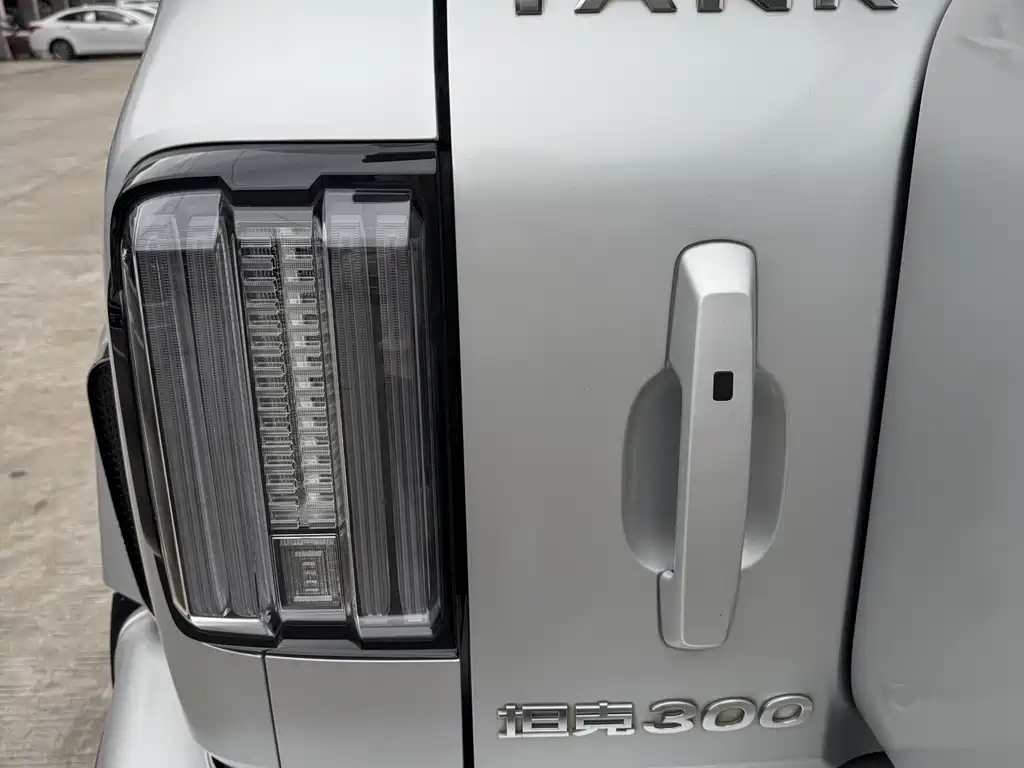 TANK CO CREATION TANK 300