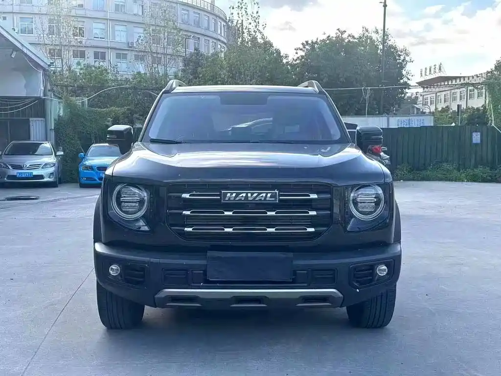 HAVAL BIG DOG