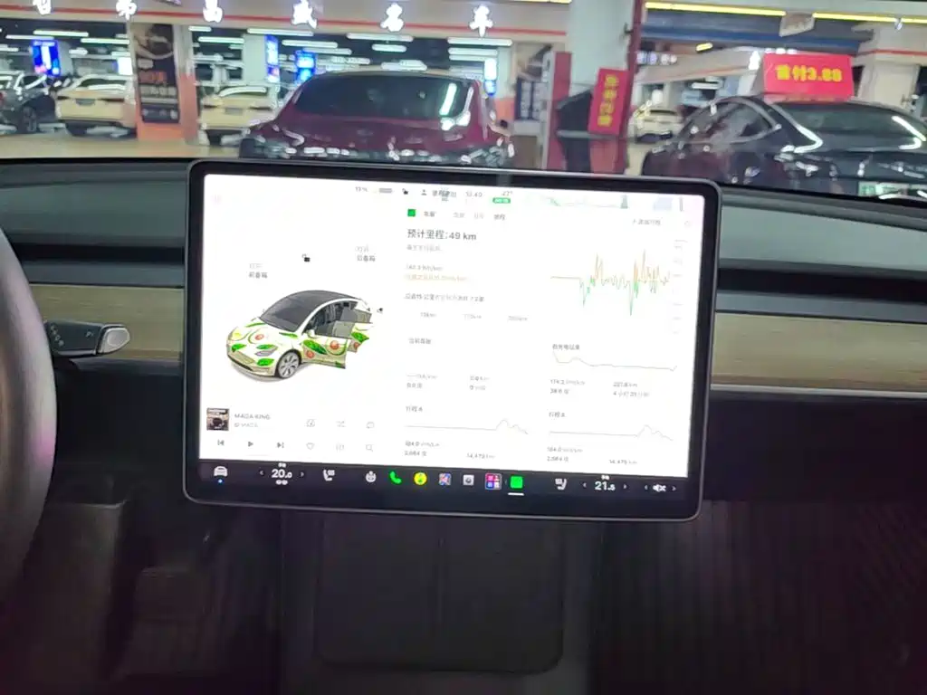 Tesla Model Y — миниатюра 13