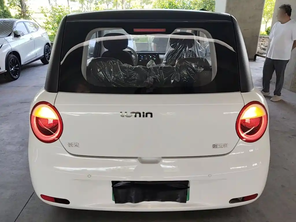 Qiyuan Lumin — миниатюра 6