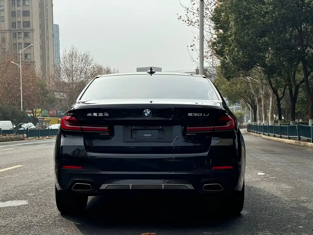 BMW 5 Series — миниатюра 5