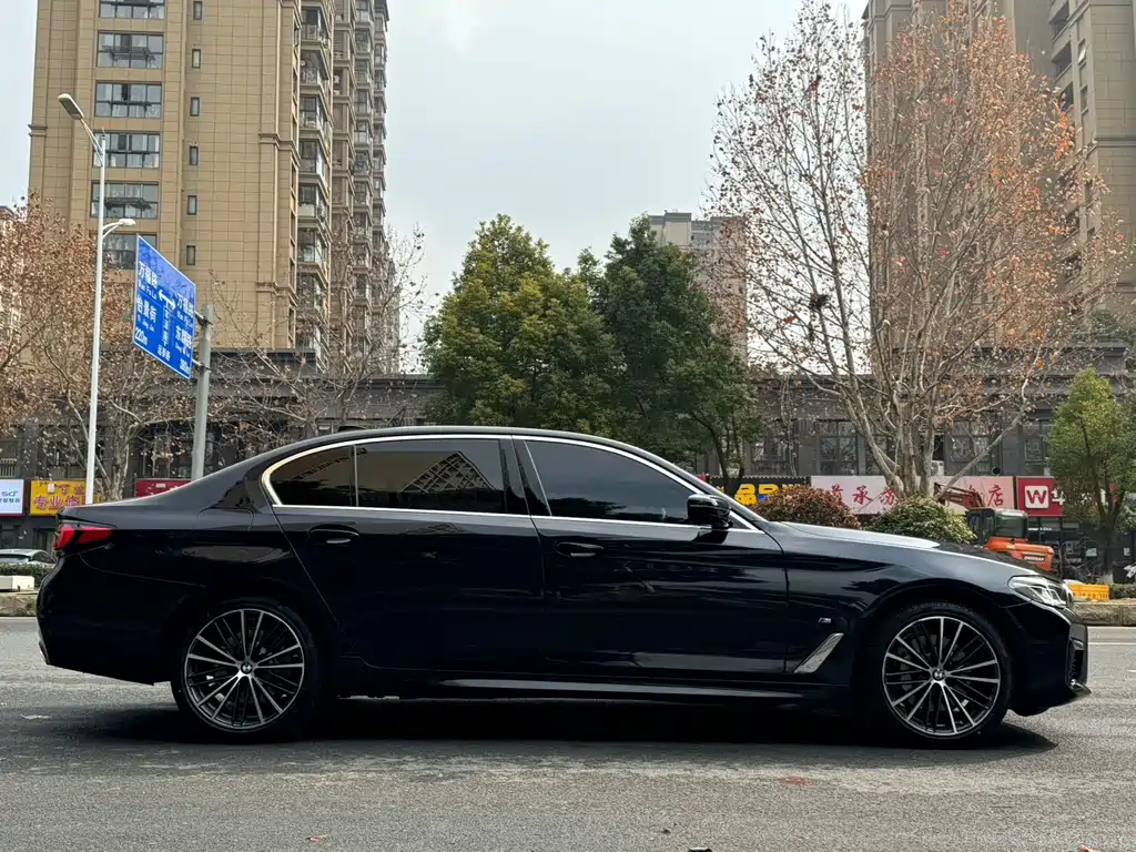BMW 5 Series — миниатюра 3
