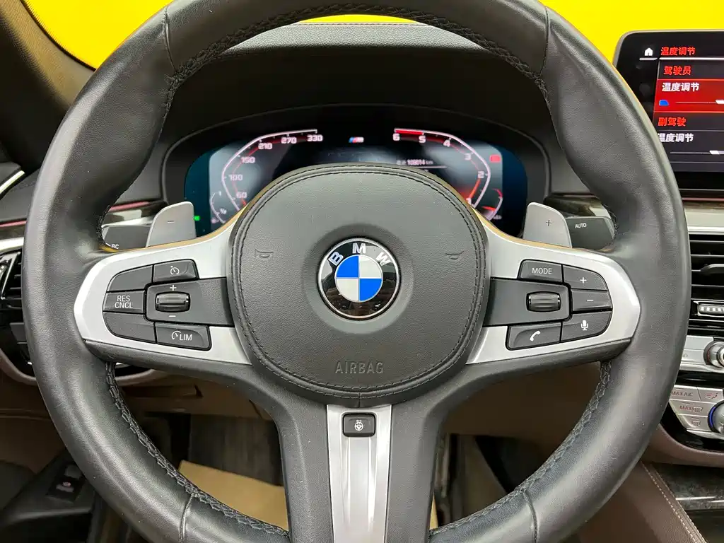 BMW 5 Series 5 2019 525Li M Sport