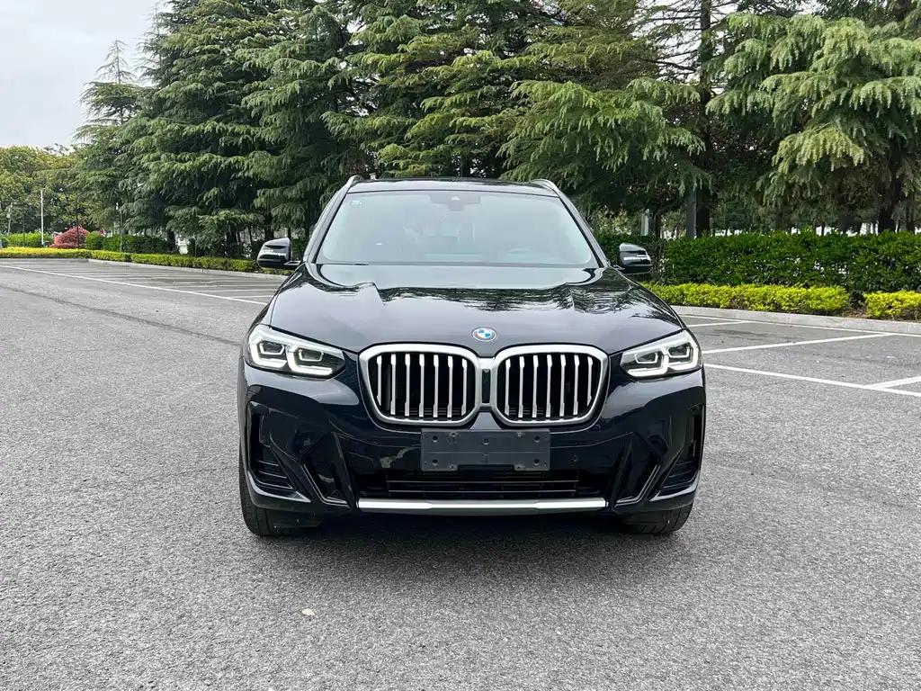 BMW X3 — миниатюра 5