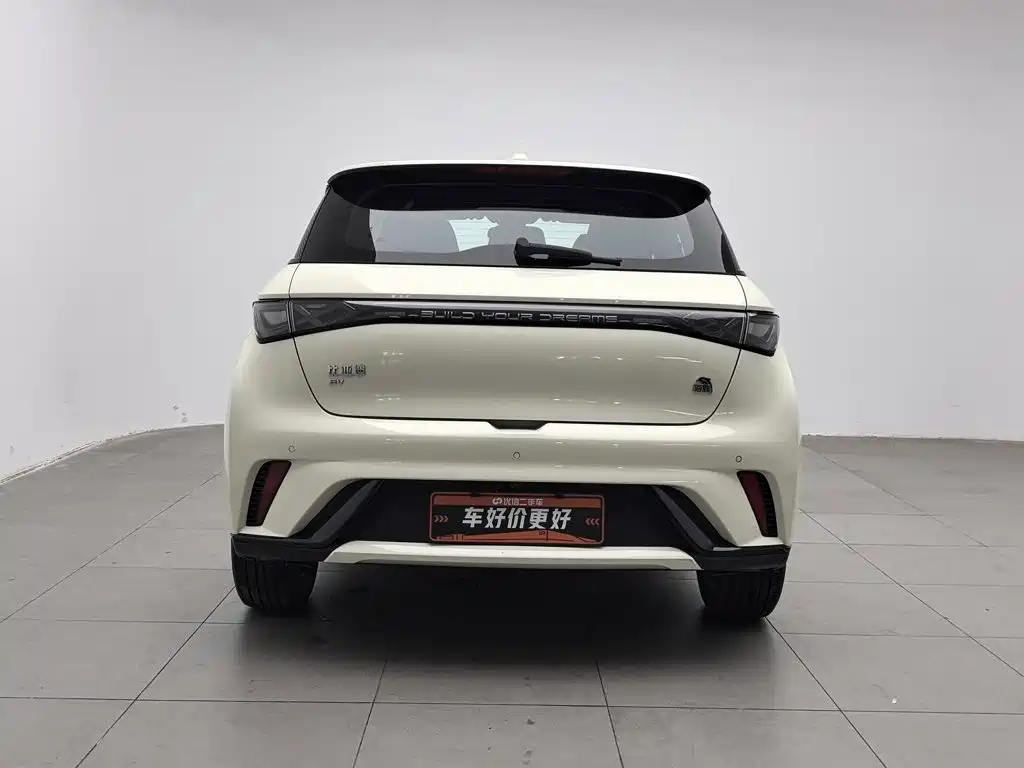 BYD Dolphin — миниатюра 4