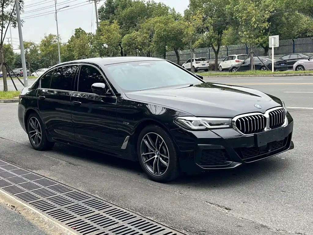BMW 5 Series New Energy — миниатюра 3