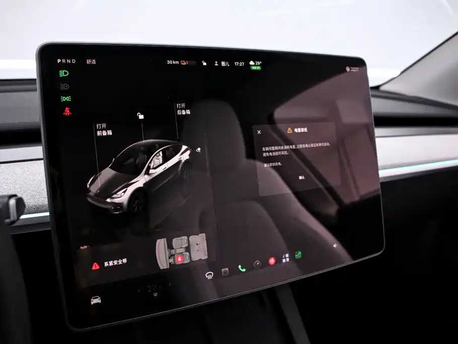 Tesla Model Y — миниатюра 7
