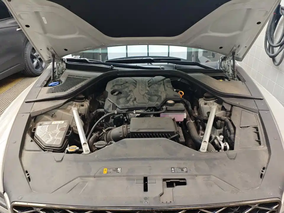 Genesis G80 — миниатюра 12