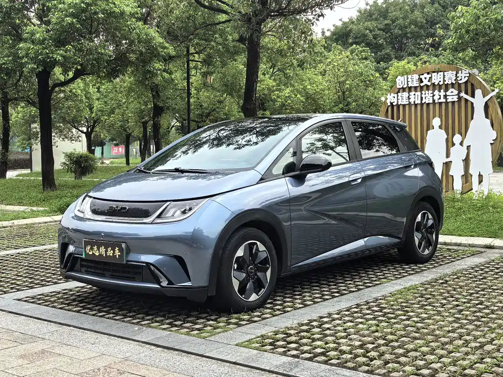 2024 BYD Dolphin - zdjęcie 1 z 13