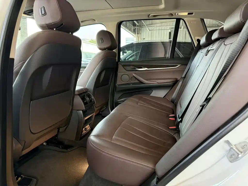 BMW X5 New Energy (Import) — миниатюра 4