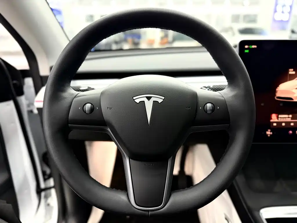 Tesla Model Y — миниатюра 13