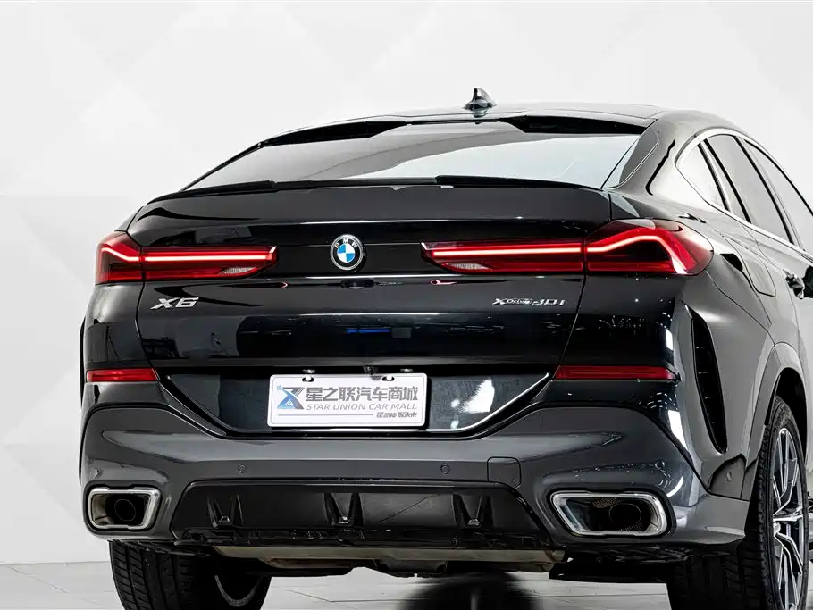 BMW X6 — миниатюра 7