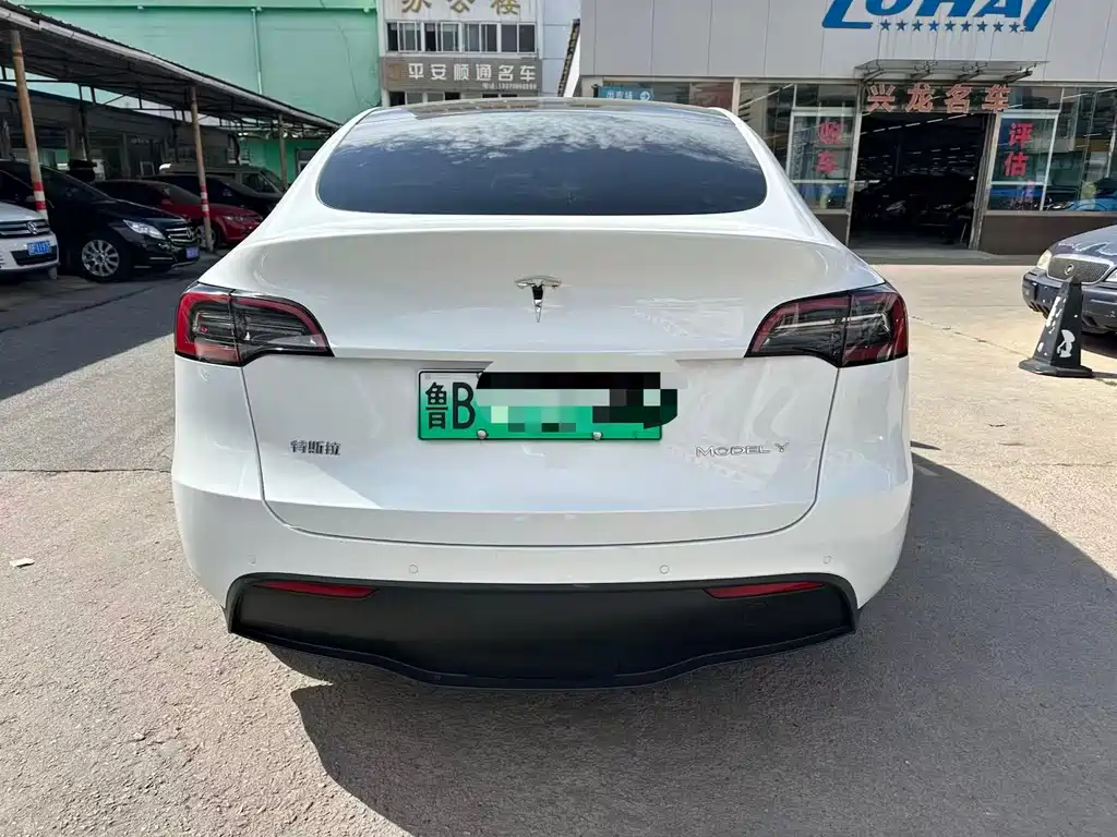 Tesla Model Y — миниатюра 9